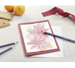 Crayons de couleur Faber Castell Goldfaber Aquarelle assorti boîte 48 pièces