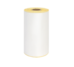 Etiquette Zebra IEZZY 3005281-T 102x150mm 19mm blanc permanent 110 pièces