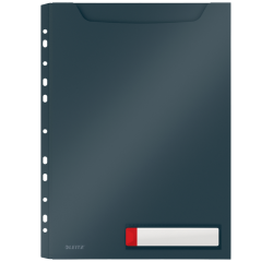 Pochette modèle U Leitz Cosy Harmonica A4 bande perforée PP gris