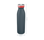 Bouteille isotherme Leitz Cosy 500ml gris