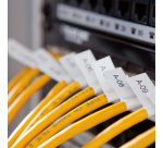 Etiqueteuse Dymo Rhino 6000+ Industriel ABC 24mm jaune