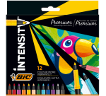 Feutre couleur BIC Intensity étui12 couleurs