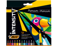 Feutre couleur BIC Intensity étui12 couleurs