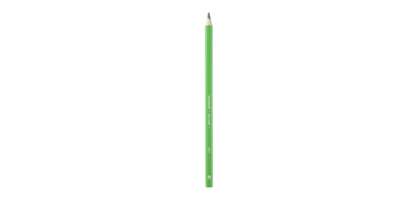 Bruynzeel Super 960 light green colored pencil