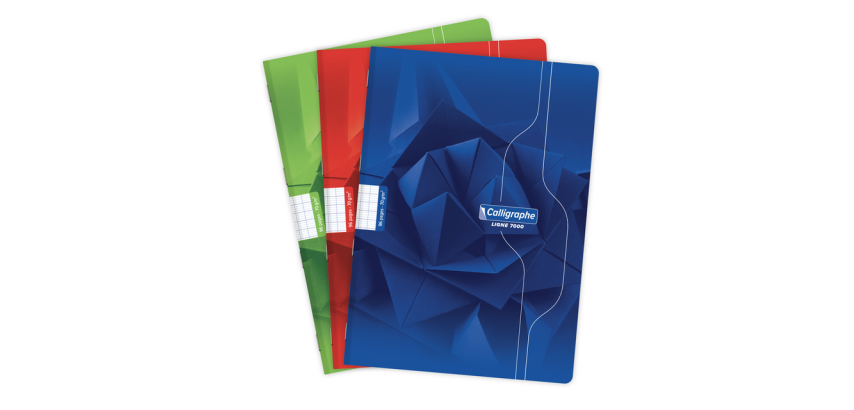 Calligraphy Notebook A4 Seyès Grid 48 pages 70g Assorted