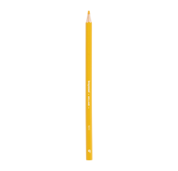 Bruynzeel Super 920 yellow colored pencil