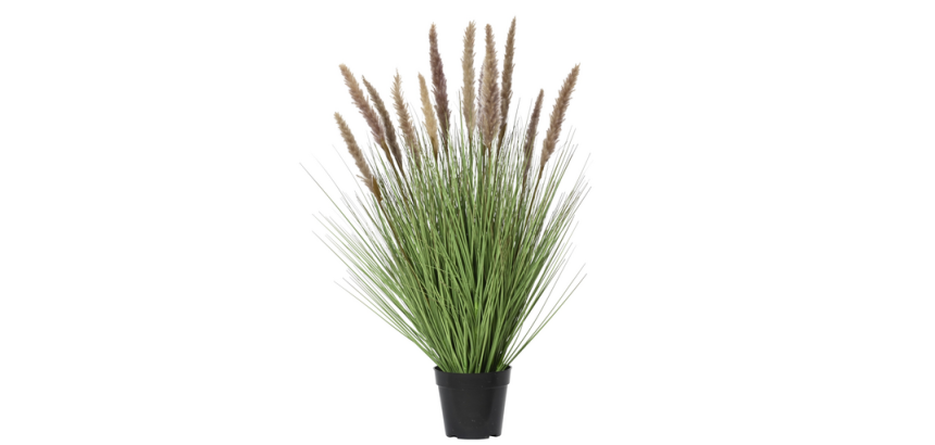 Plante herbacée Everlands avec pampa brun 80cm pot PVC
