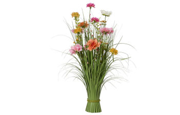 Plantes