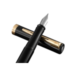 Stylo plume Waterman Allure Impression Black GT Medium