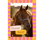 Carte d'invitation Hallmark chevaux lot 6 pièces