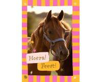 Carte d'invitation Hallmark chevaux lot 6 pièces