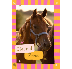 Carte d'invitation Hallmark chevaux lot 6 pièces