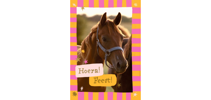 Carte d'invitation Hallmark chevaux lot 6 pièces