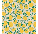 Apparaatrol Little Lemon 50cmx200m