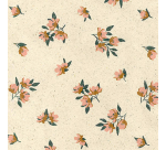 Rotolux Rosie Gift Wrap 200x70cm assorted