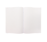 Schrift Kangaro A4 ruit 10mm 80 pagina's 60gr assorti pak  à 5 stuks