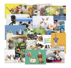 Belohnungs-Postkarte De Stulp Thema Tiere A4 sortiert
