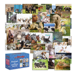 Belohnungskarte De Stulp Thema verschiedene Tiere