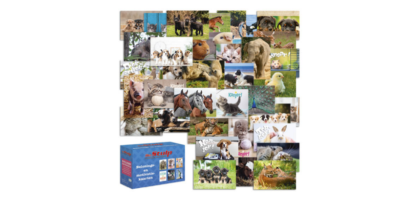 Assorted Animal Theme Reward Card De Stulp