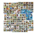 Assorted Animal Theme Reward Stickers by De Stulp