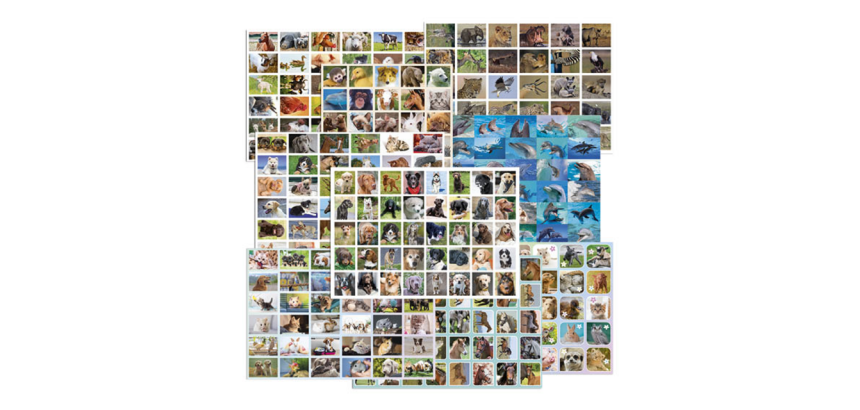 Assorted Animal Theme Reward Stickers by De Stulp