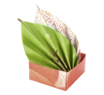 Doppelseitiges Faltpapier Folia 80g 15x15cm 50 Blatt 10 tropische Designs