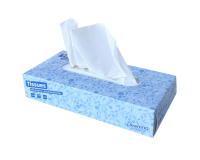 Mouchoir Cleaning Facial 2 épaisseurs 100 pièces