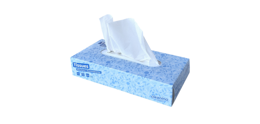 Mouchoir Cleaning Facial 2 épaisseurs blanc 100 pièces