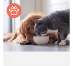 Filter koolstof huisdieren voor Leitz TruSens Z-2000