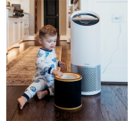 Aktivkohlefilter gegen Gerüche und VOCs für Leitz TruSens Z-3000