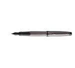 Waterman Expert Metallic Silver RT Medium Fountain Pen