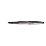 Stylo plume Waterman Expert Metallic Silver RT Medium