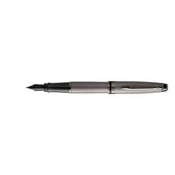 Stylo plume Waterman Expert Metallic Silver RT Medium