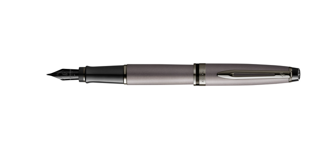 Waterman Füllfederhalter Expert Metallic Silver RT Medium