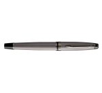 Waterman Expert Metallic Silver RT Medium Fountain Pen