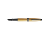 Waterman Expert Fountain Pen Metallic Gold RT M
