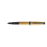 Stylo plume Waterman Expert Metallic Gold RT M