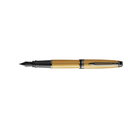 Stylo plume Waterman Expert Metallic Gold RT M