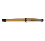 Waterman Expert Fountain Pen Metallic Gold RT M
