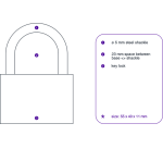 Pavo-Vorhängeschloss 40mm