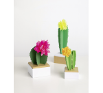 Papier de soie Folia 50x70cm 20g néon assorti 5 feuilles