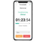 Pointeuse TimeMoto TM-838SC