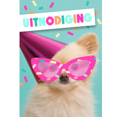 Carte d'invitation Chien avec lunettes 14x9cm (NL)