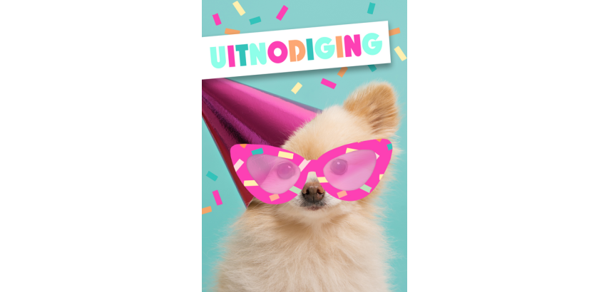 Carte d'invitation Chien avec lunettes 5 pièces (NL)