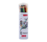 Crayon de couleur Bruynzeel set 18 couleurs
