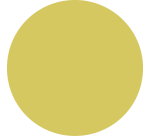 Feutre STABILO Pen 68/67 Medium moutarde