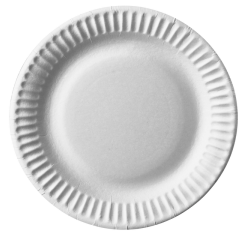 Assiette IEZZY 150mm carton blanc 100 pièces