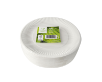 Assiette IEZZY 230mm carton blanc 100 pièces