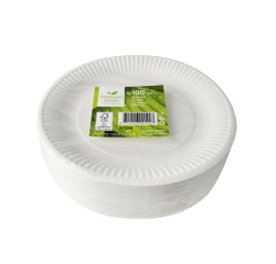 Assiette IEZZY 230mm carton blanc 100 pièces
