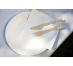 Assiette IEZZY Ø180mm carton blanc 100 pièces